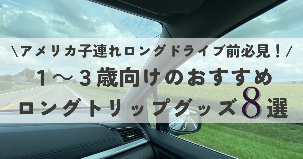 【アメリカ子連れドライブ前必見】１～３歳向けのおすすめロングトリップグッズ８選